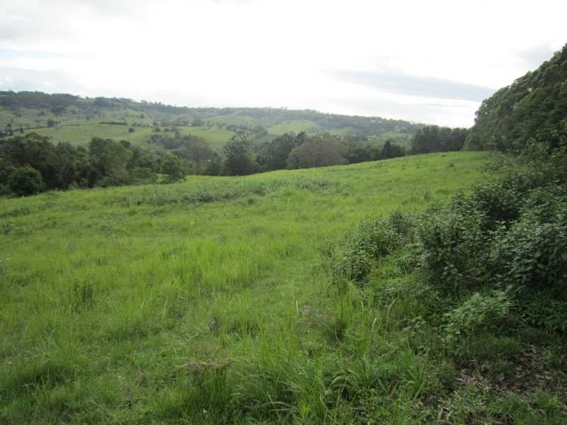 191 Duncan Road, Numulgi NSW 2480