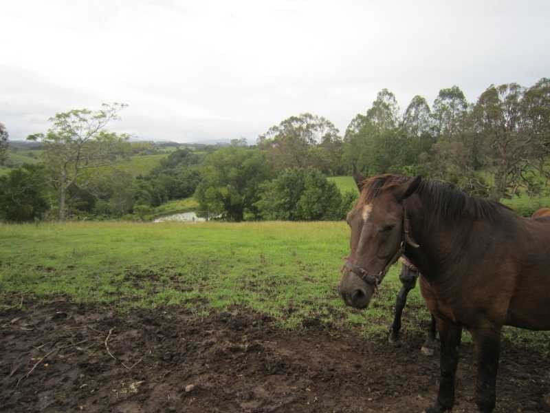 191 Duncan Road, Numulgi NSW 2480