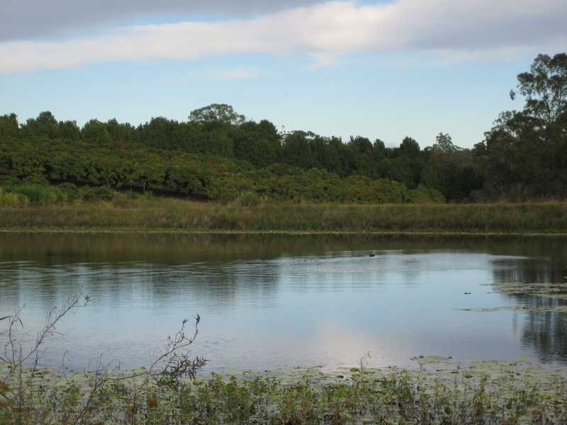 100 Lees Lane, Hogarth Range NSW 2469