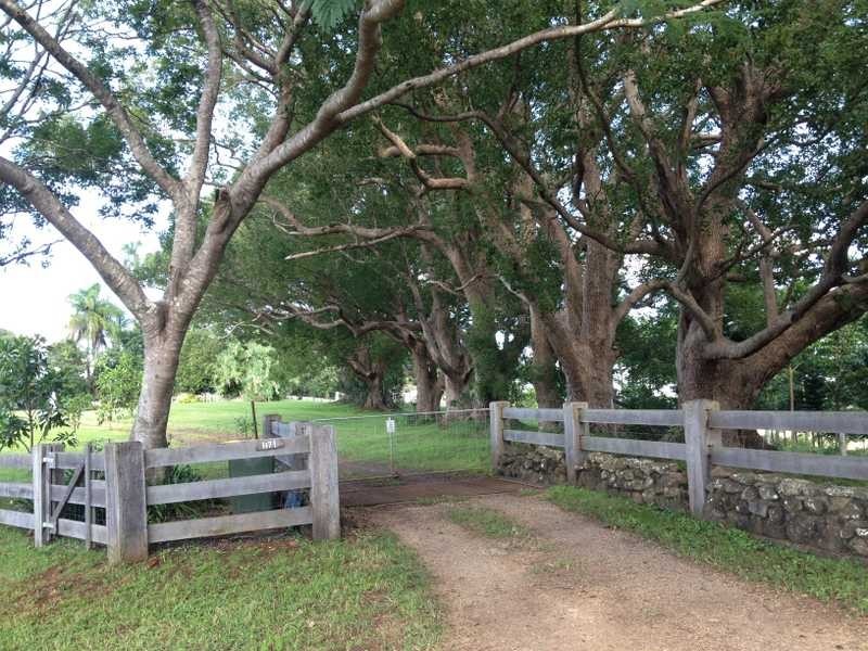 1171 Booyong Road, Clunes NSW 2480