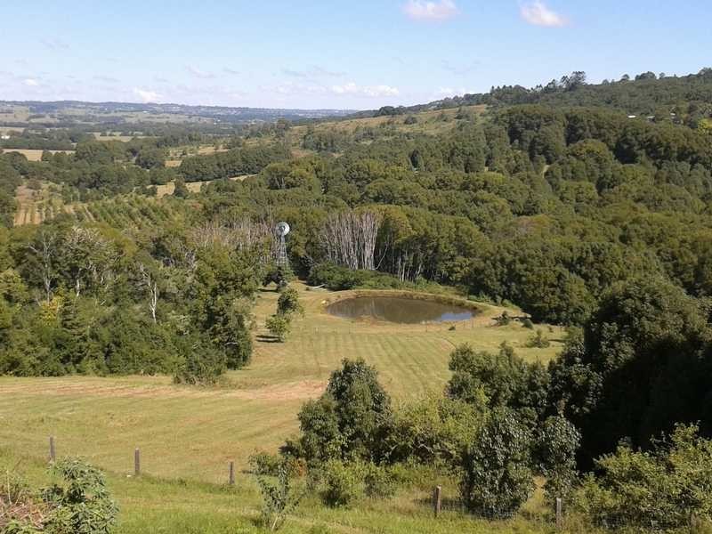 1171 Booyong Road, Clunes NSW 2480