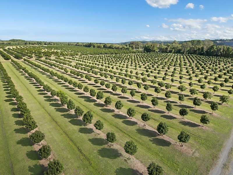 257 North Teven  Road, Teven NSW 2478