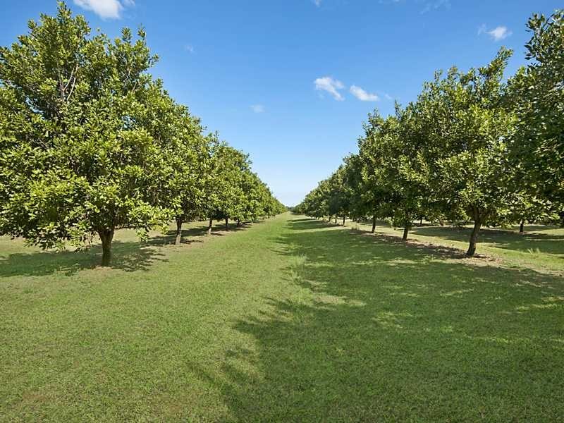 257 North Teven  Road, Teven NSW 2478