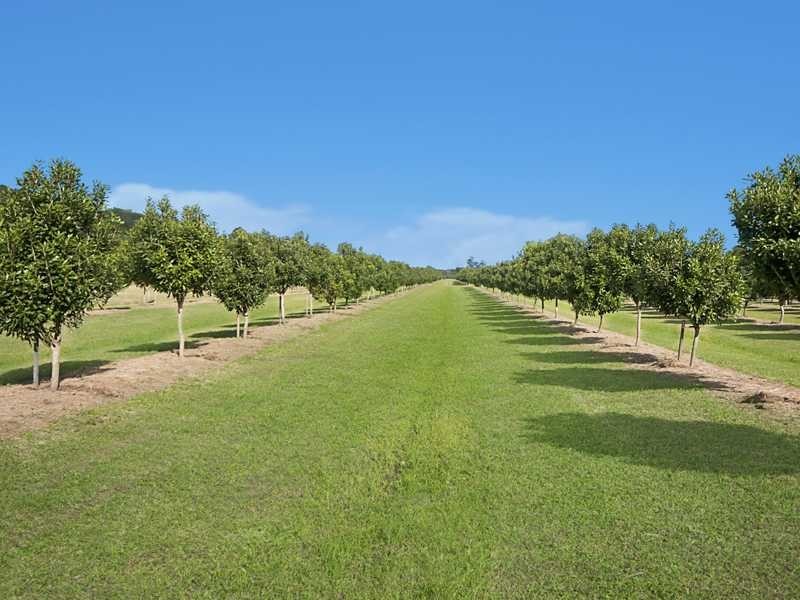 257 North Teven  Road, Teven NSW 2478