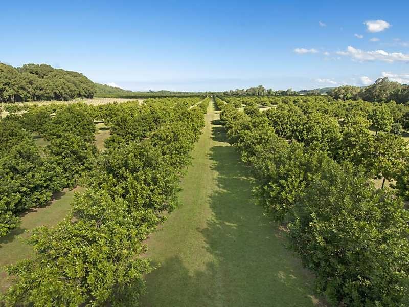 257 North Teven  Road, Teven NSW 2478