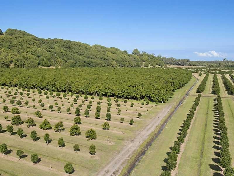 257 North Teven  Road, Teven NSW 2478