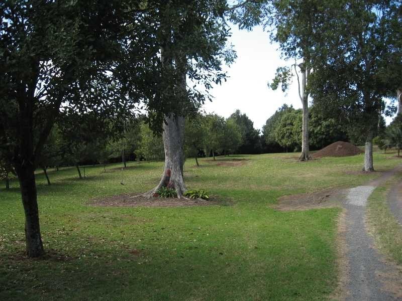 498 Cowlong Road, Mcleans Ridges NSW 2480