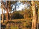 Lot 9 Bundaleer Road, Broken Head NSW 2481