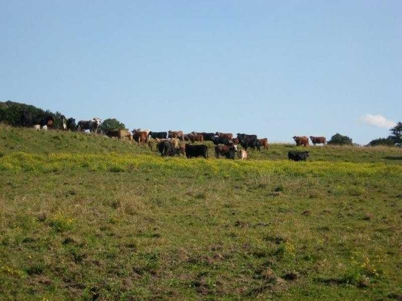 Lot 9 Bundaleer Road, Broken Head NSW 2481