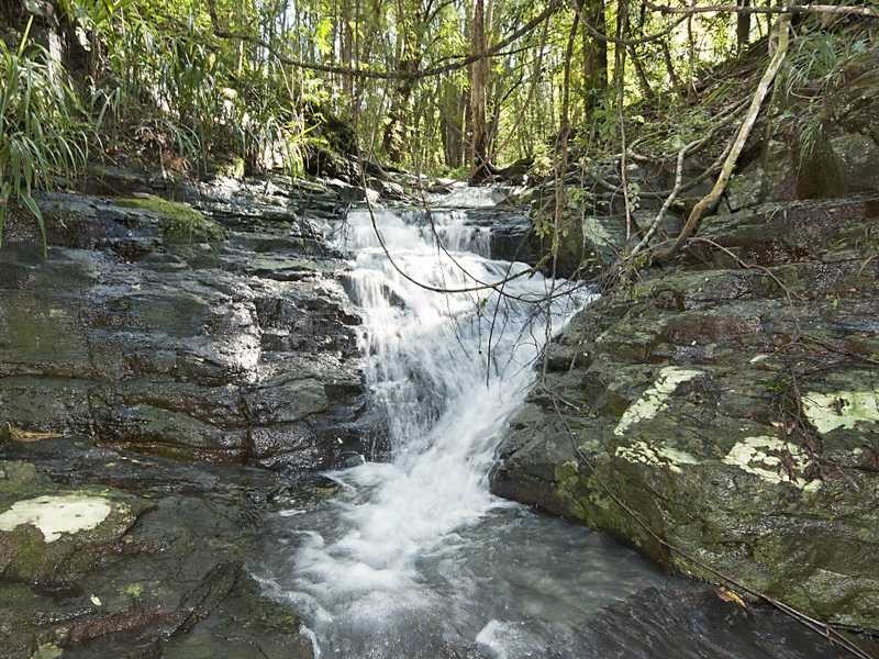 53 Fox Road, Rosebank NSW 2480