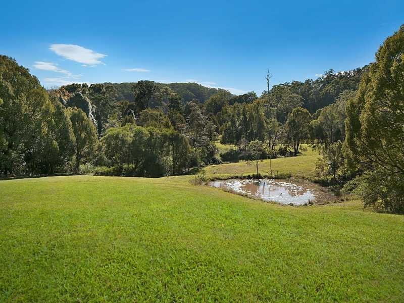 53 Fox Road, Rosebank NSW 2480