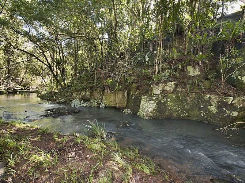 53 Fox Road, Rosebank NSW 2480