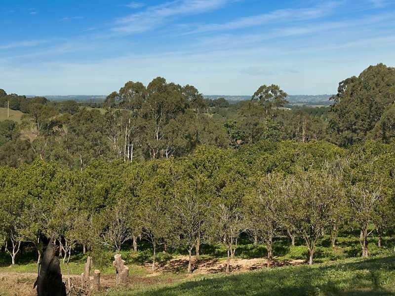 53 Fox Road, Rosebank NSW 2480