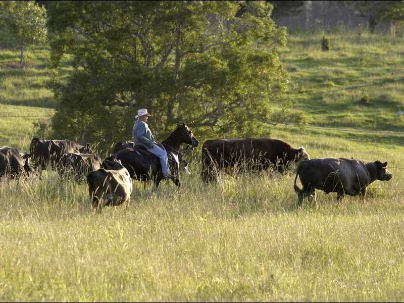140 Crofton Road, Nimbin NSW 2480