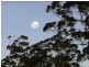 140 Crofton Road, Nimbin NSW 2480