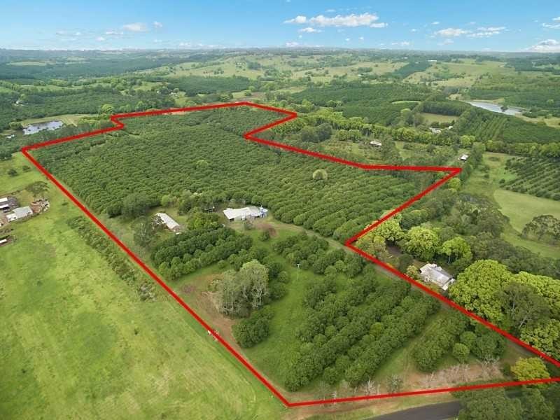 472 Cowlong Road, Mcleans Ridges NSW 2480