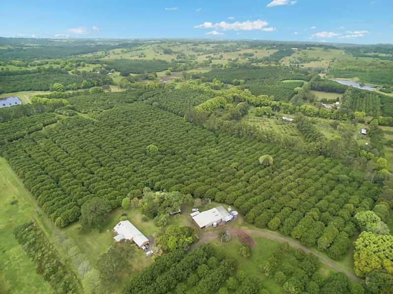 472 Cowlong Road, Mcleans Ridges NSW 2480