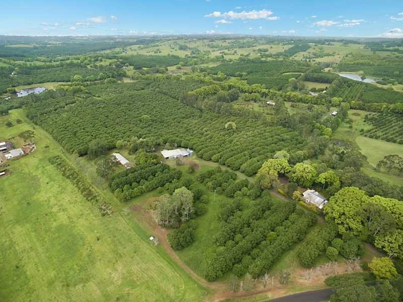 472 Cowlong Road, Mcleans Ridges NSW 2480