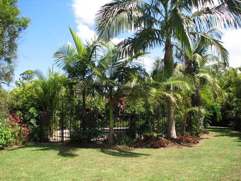 6 Sunny Valley Place, Modanville NSW 2480