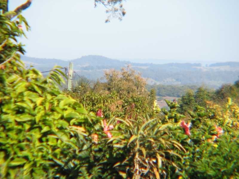 6 Sunny Valley Place, Modanville NSW 2480