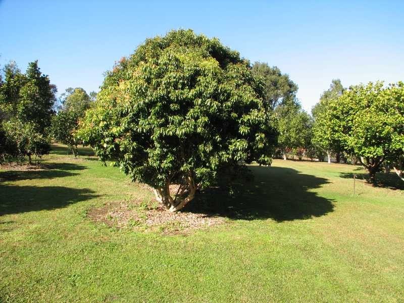 6 Sunny Valley Place, Modanville NSW 2480