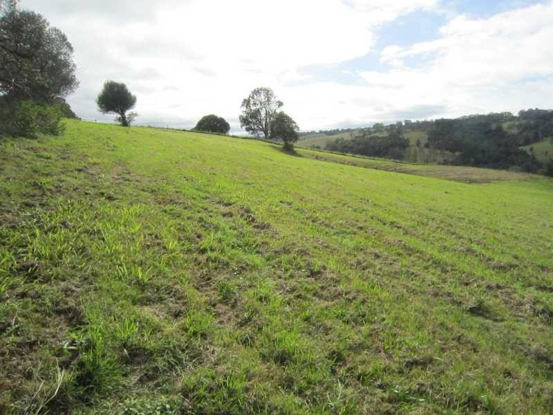 182 Cross Road, Numulgi NSW 2480