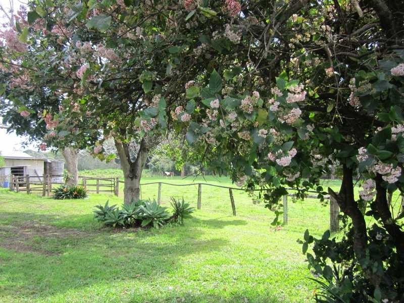 208 Fernleigh Road, Fernleigh NSW 2479