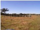 41 Eltham Road, Bexhill NSW 2480