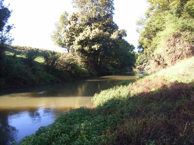 41 Eltham Road, Bexhill NSW 2480