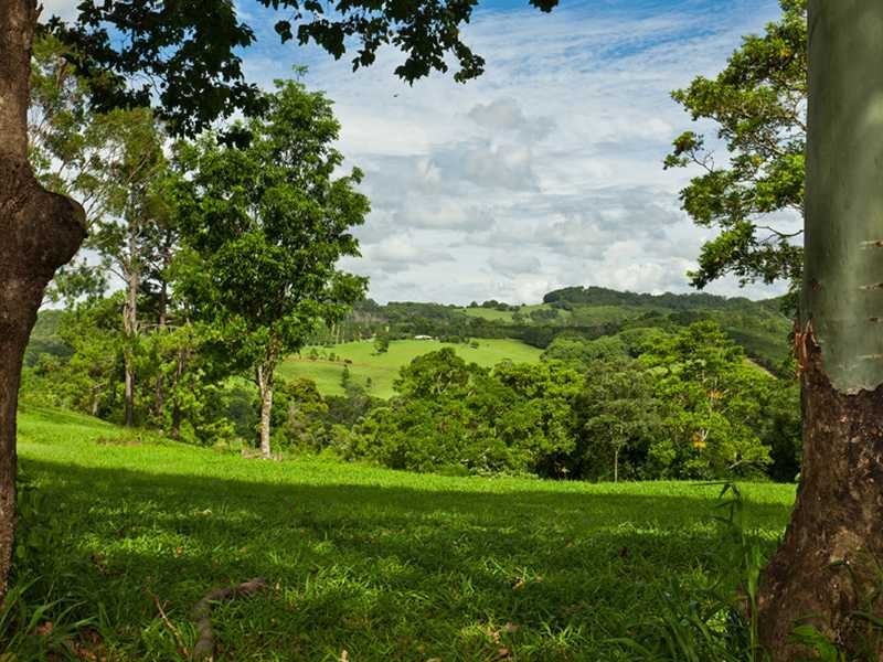 2466 Dunoon Road, Rosebank NSW 2480