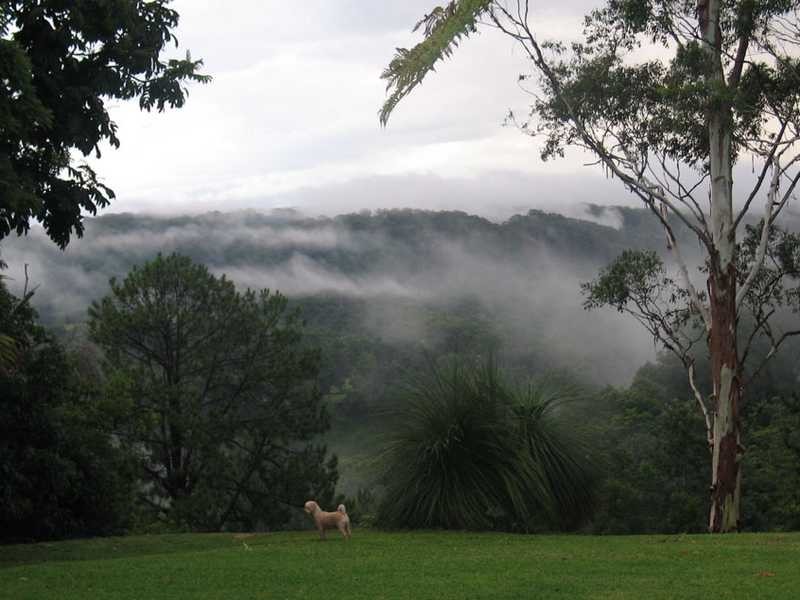 2466 Dunoon Road, Rosebank NSW 2480