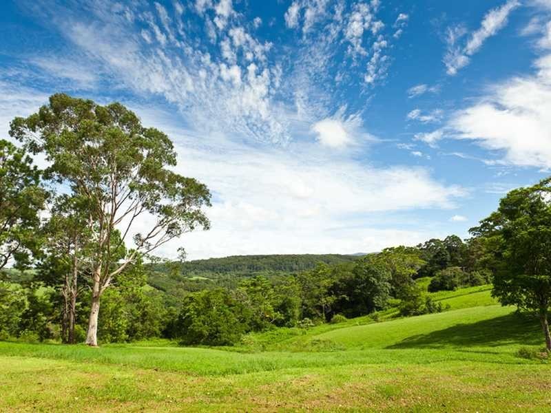 2466 Dunoon Road, Rosebank NSW 2480