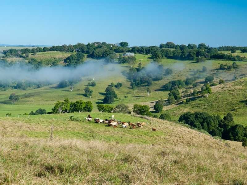 Rosemont – 47A Walmsley Road, Eltham NSW 2480