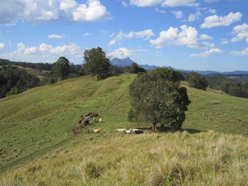 4012 Kyogle Road, Mount Burrell NSW 2484