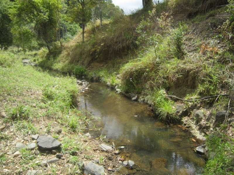 4012 Kyogle Road, Mount Burrell NSW 2484