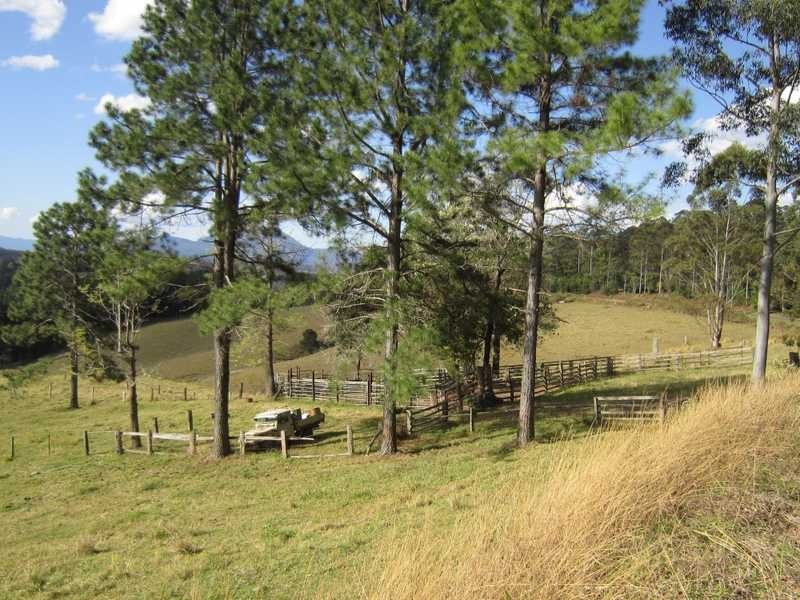 4012 Kyogle Road, Mount Burrell NSW 2484