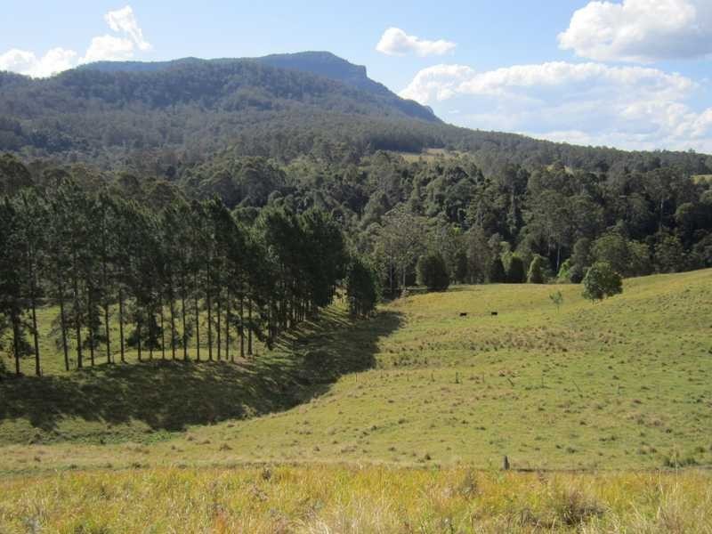 4012 Kyogle Road, Mount Burrell NSW 2484