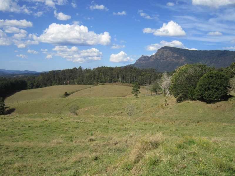 4012 Kyogle Road, Mount Burrell NSW 2484