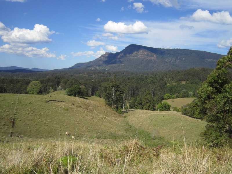 4012 Kyogle Road, Mount Burrell NSW 2484
