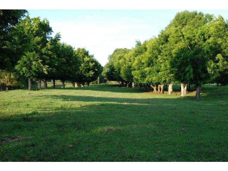 456 Eltham Road, Eltham NSW 2480