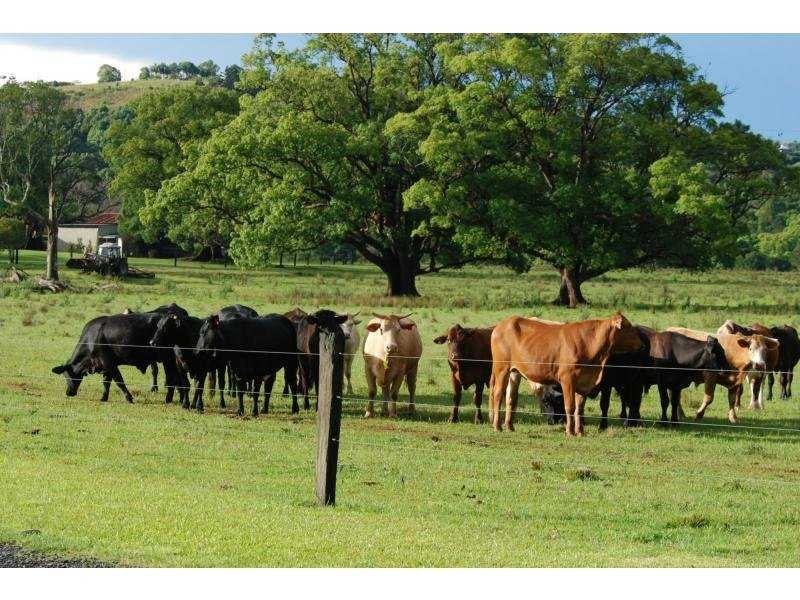 456 Eltham Road, Eltham NSW 2480