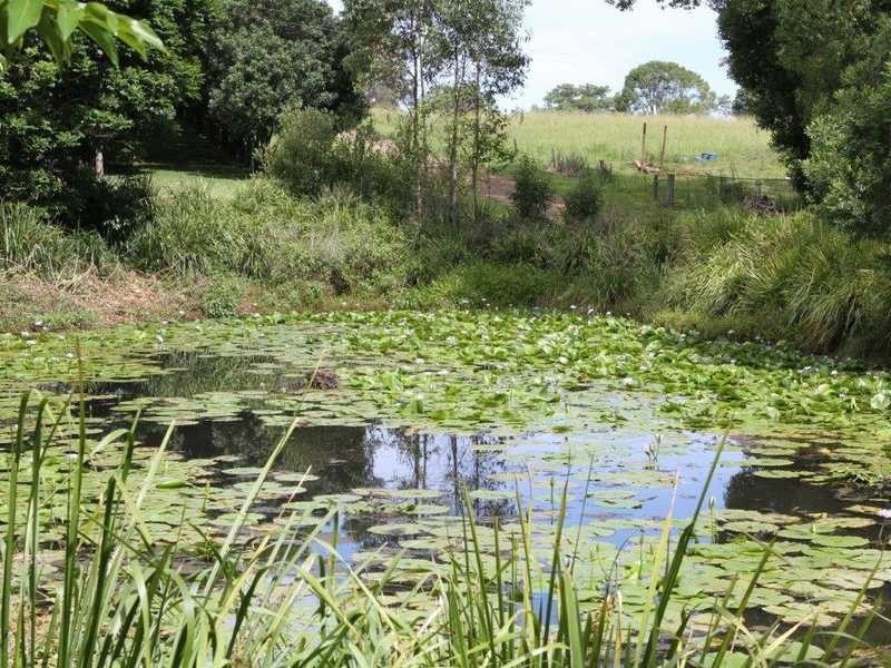 25 Batrel Road, Mcleans Ridges NSW 2480