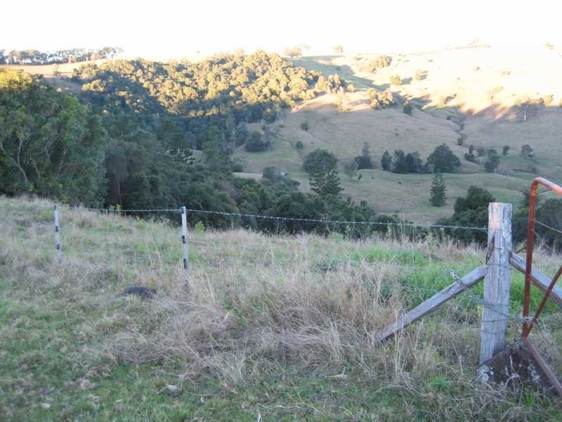 140 Duncan Road, Numulgi NSW 2480