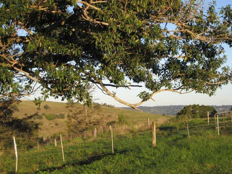 140 Duncan Road, Numulgi NSW 2480