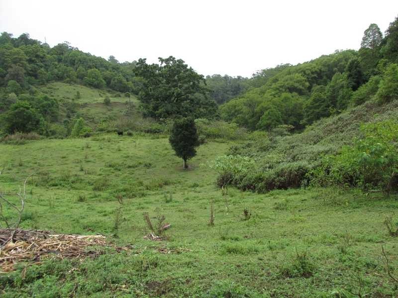 35 Town Road, The Channon NSW 2480