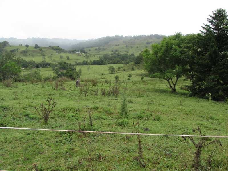 35 Town Road, The Channon NSW 2480