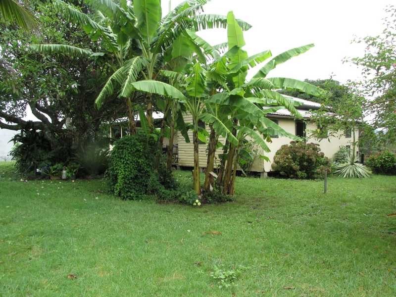 35 Town Road, The Channon NSW 2480