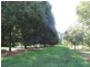 11 Ashlin Road, Whian Whian NSW 2480