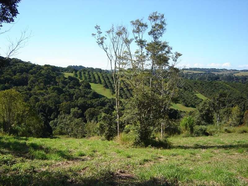 1C Granuaille Crescent, Bangalow NSW 2479