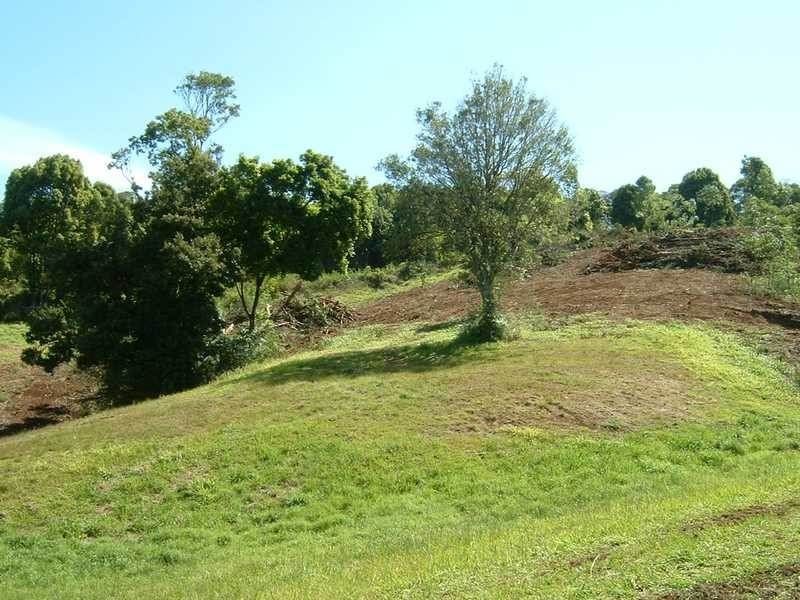 1C Granuaille Crescent, Bangalow NSW 2479